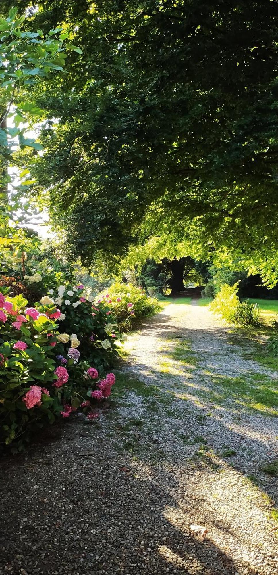 Casale Del Cantico Brenta Kültér fotó